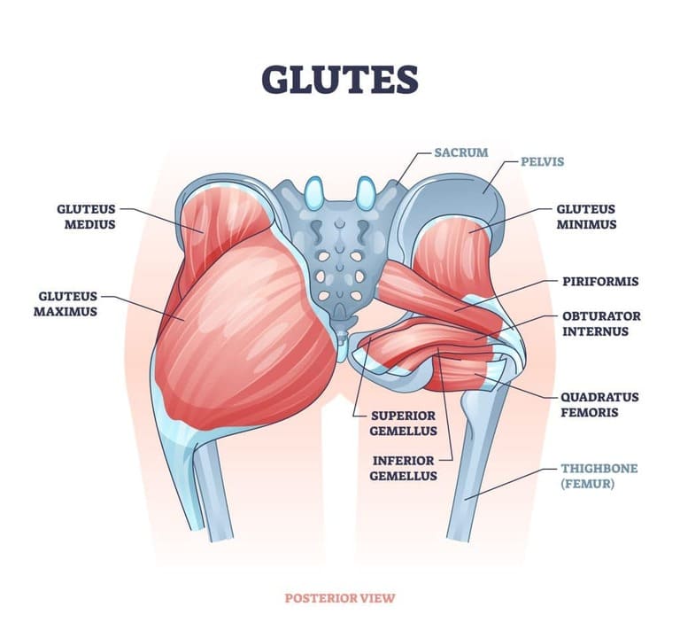 Gluteal Tendinopathy: Causes -Treatments