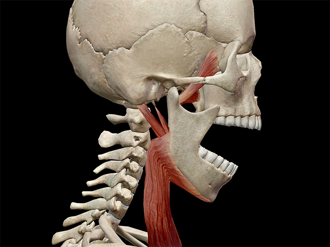 TMJ Disorders: Causes & Treatment