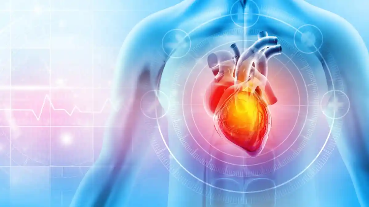 Time-Restricted Eating and Heart Risks