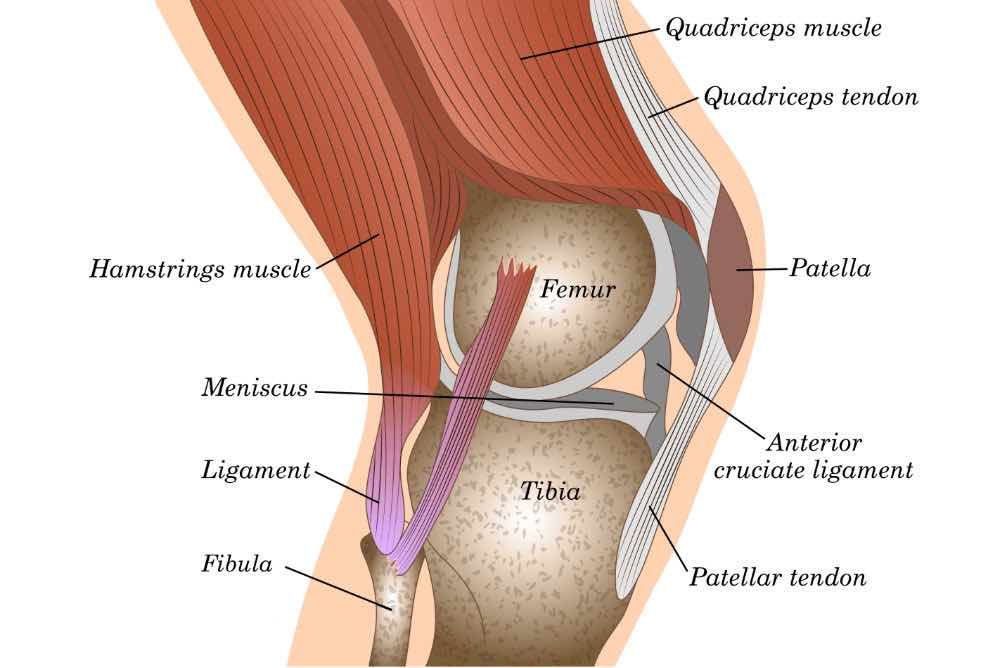 Knee pain treatments in Richmond Hill